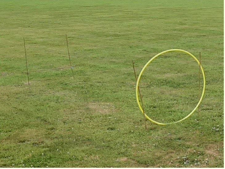 Hula hoops arranged in a circle